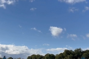 本赛季各项赛事仅1次出场，里沙利松社媒晒训练场上照片