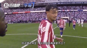 给维尼修斯看傻了，普比尔对裁判：你给了我张黄牌，“混蛋”